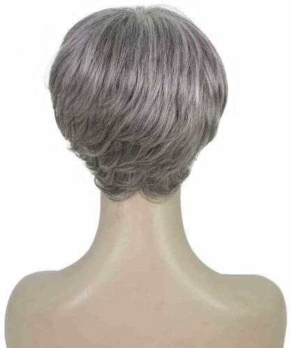 Salt & Pepper Grey with Silver Grey HL Front monofilament wig